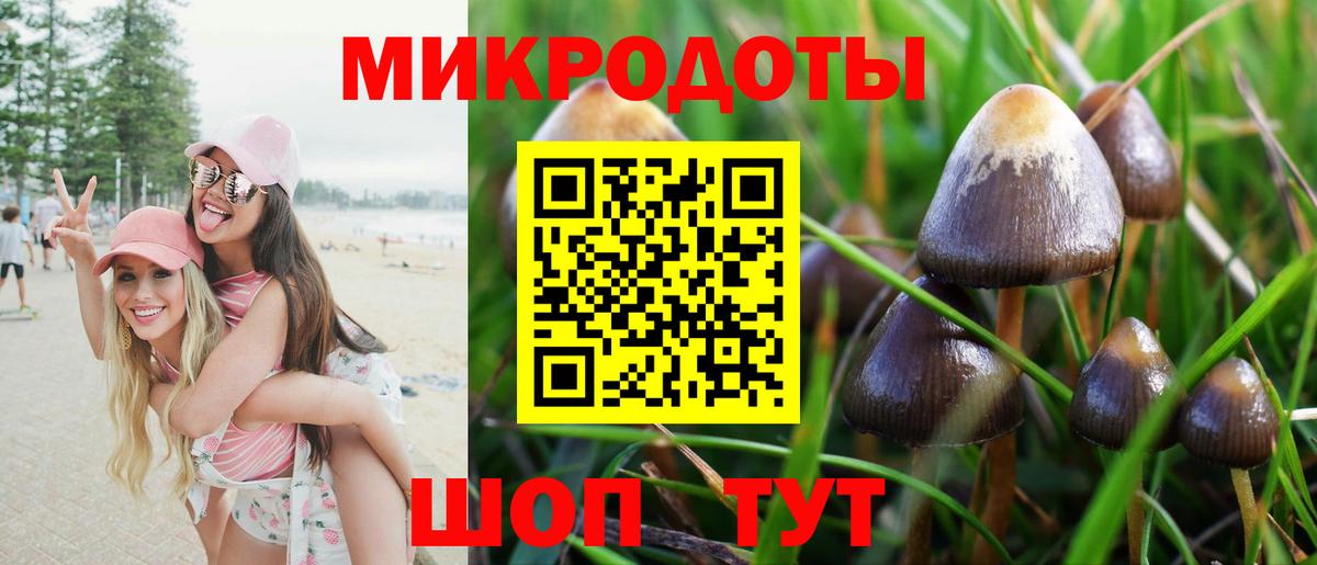 Псилоцибиновые грибы GOLDEN TEACHER Камень-на-Оби